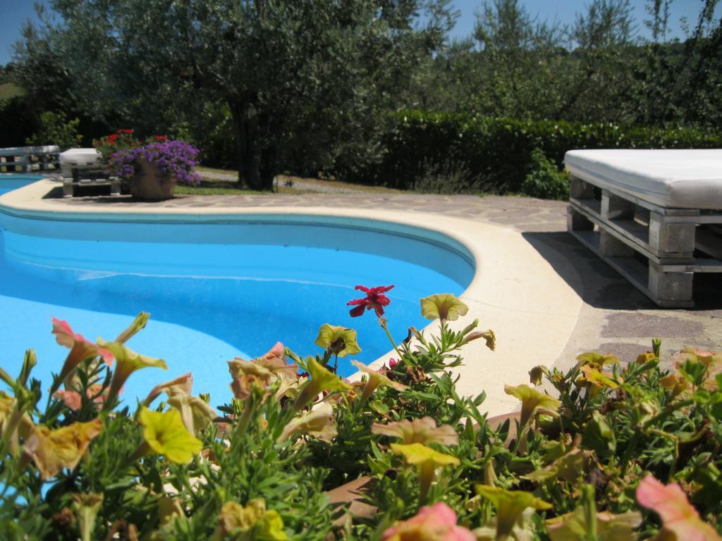 Oliveta Apartment Tavarnelle Val di Pesa Room photo